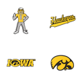 Budz | Iowa Hawkeyes | 4-Pack Bundle